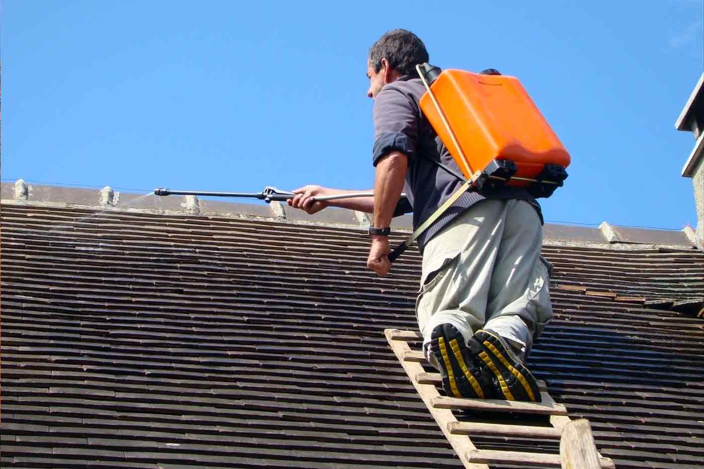 Nettoyage toiture - TYPRORÉNOV artisan couvreur dans le Morbihan et dans toute la Bretagne : nettoyage, traitement anti-mousse  démoussage toiture. Peinture revêtement peinture hydrofuge coloré sur toiture Intervention dans le  Morbihan, le Finistère, les Côtes-d’Armor et l’Ille-et-Vilaine